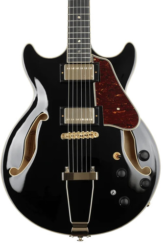 Ibanez artcore expressionist - ibanez,
