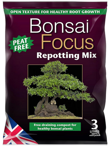 Growth technology bonsai - growth, focus