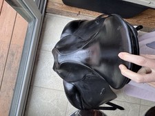 Passier Nicole's Grand Gilbert