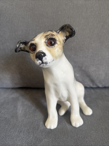Superb winstanley jack russell - winstanley,