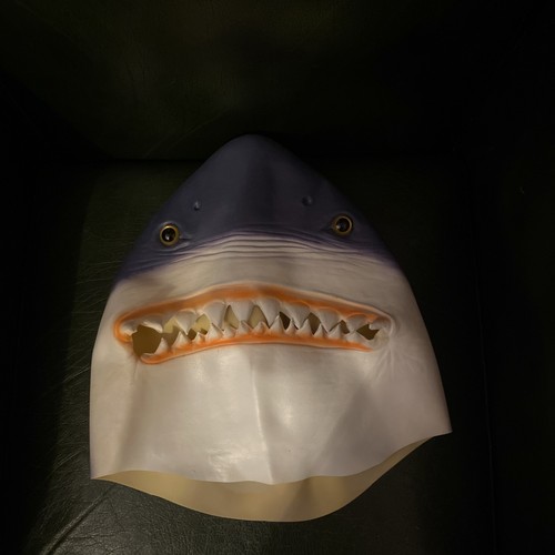 Great white shark head - great,