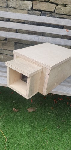Hedgehog house feeding - hedgehog, /