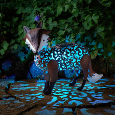 Solar Powered LED Fox Garden