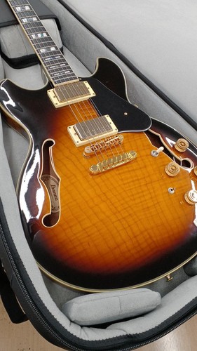 Ibanez semi hollow electric - ibanez,