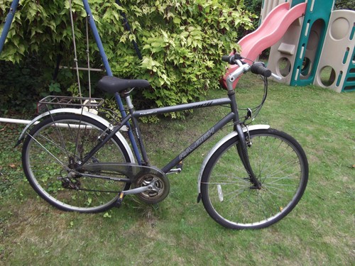 Raleigh pioneer speed u1 - 18,
