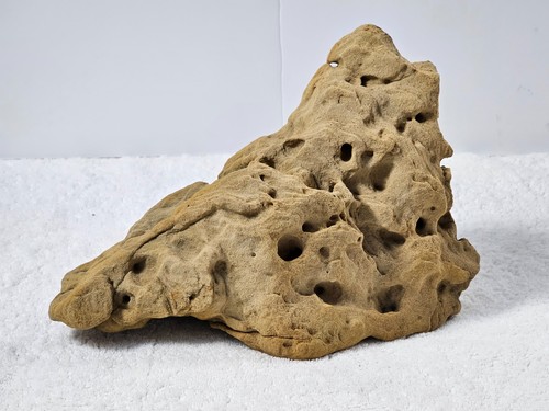 Large natural sandstone - large,