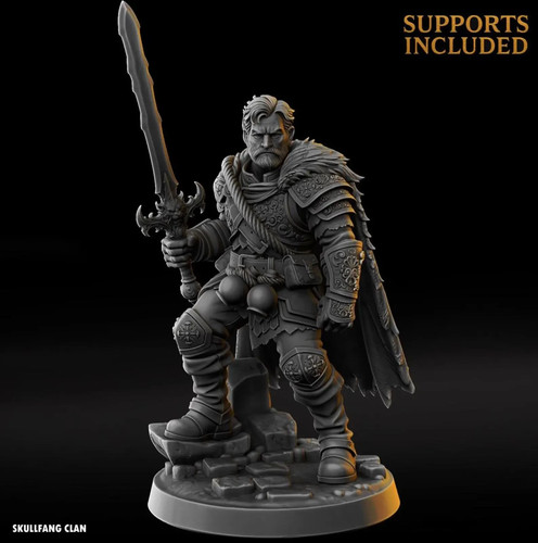 Human male paladin ttrpg - male,