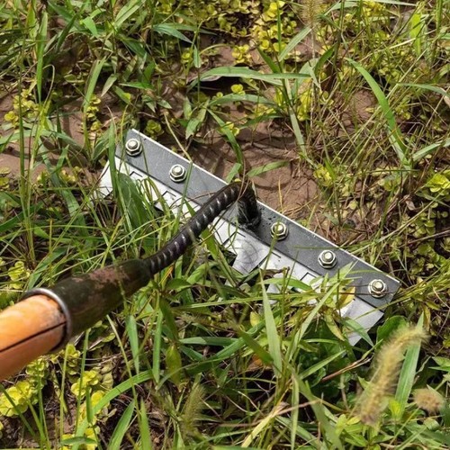 Carbon steel garden hand rake - carbon,