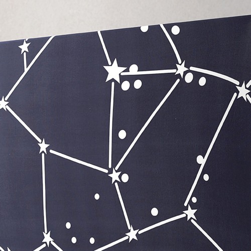 Starry cover dust protector - tv,