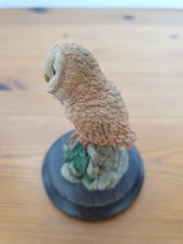 Country Artist Mini Barn Owl