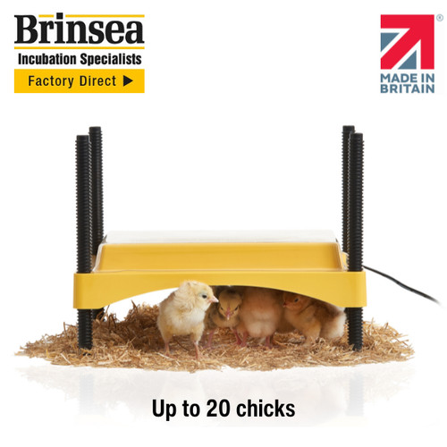 Brinsea ecoglow safety 600 - brinsea,