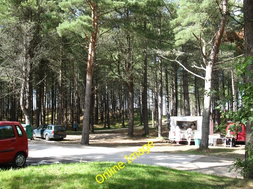Photo 6x4 forest car - forest,