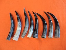 14"- 15" Bull Horns Cow Horns LONGHORN horn TAXIDERMY Polished 8 single horns #4