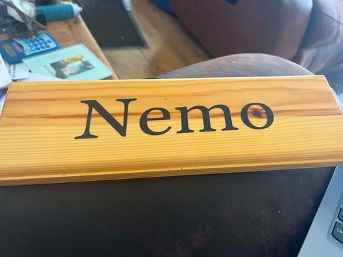 Nemo horse stable - stable, name