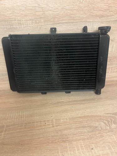 Triumph tt600 radiator thsr6 - tt600,
