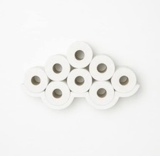 Cloud Storage for Toilet Paper