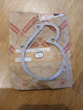 Nissan Datsun Micra K10,water