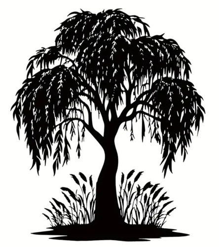 Graceful drooping weeping - drooping,