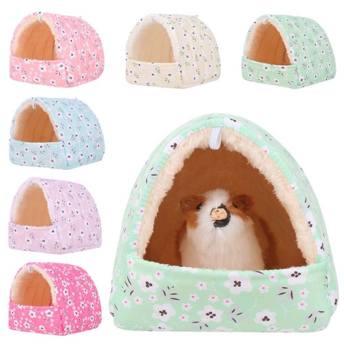 Squirrel hamster house guinea - squirrel,