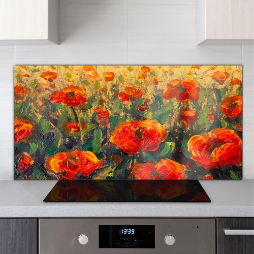 Glass kitchen cooker - glass,