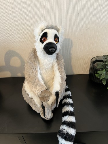 Wild republic ring tailed - ring,
