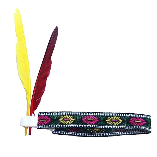 Indian adult unisex headdress - adult,