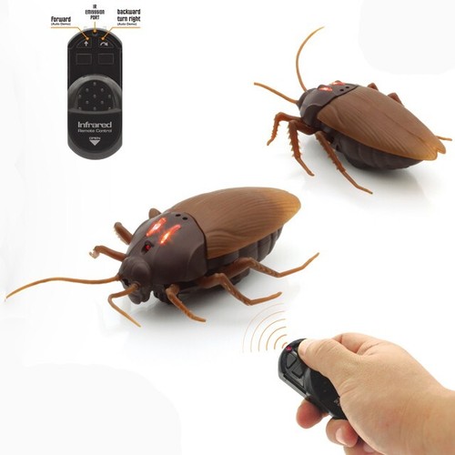 Remote control cockroach - rc,