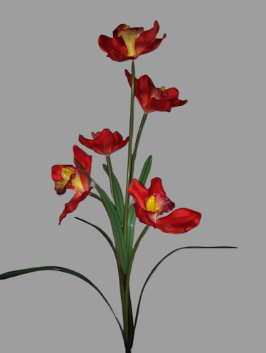 Cymbidium floral stem - 38",