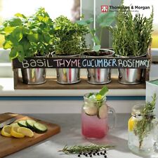 Thompson & Morgan Gin Garden