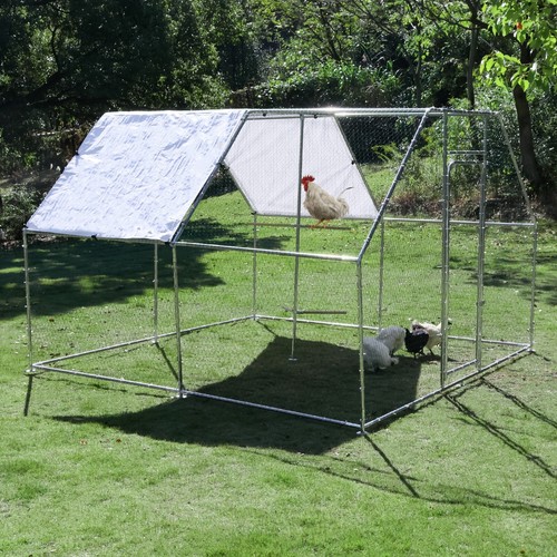 10x10ft chicken coop - 10x10ft,