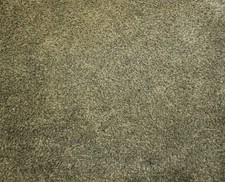 Turtle mat dirt trapper - turtle,