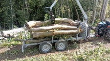 2 Tonnes of Hardwood Logs