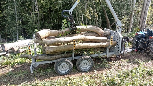 Tonnes hardwood logs - of,