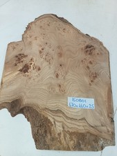 670x460x25mm Crusty Natural/Waney Edge Burr Elm  Hardwood Timber Plank 150801