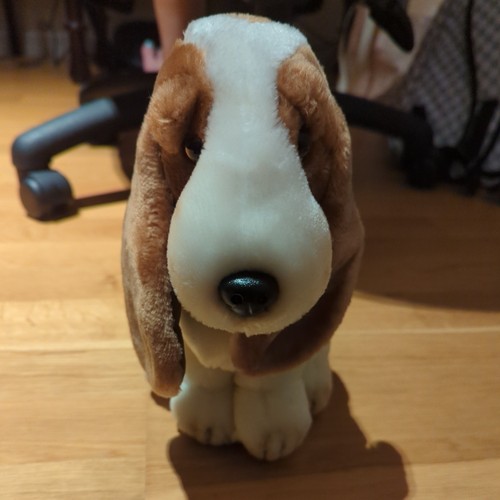 Official hush puppies basset - official,