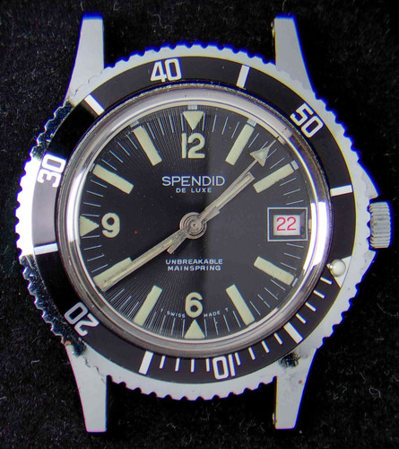 Spendid luxe diver - diver, back
