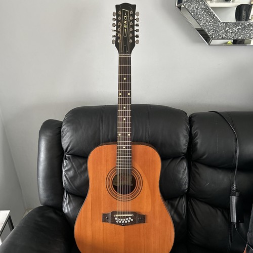 Eko rio grande x11 acoustic - rio,