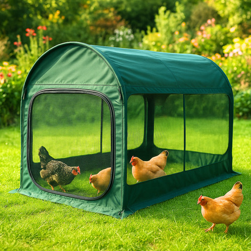 Rabbit guinea pig - chicken, duck