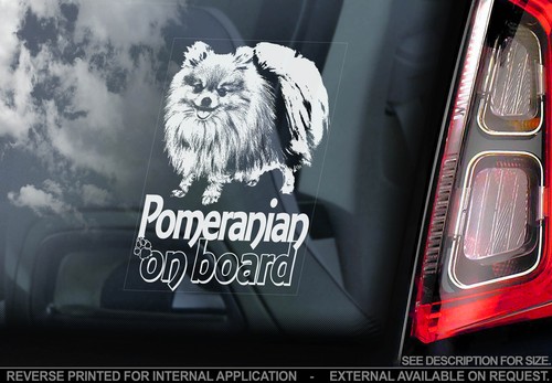 Pomeranian car window - -,