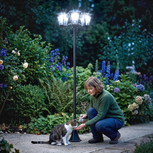 Outdoor garden solar light - outdoor,