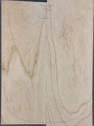 Swamp ash guitar body - , slab