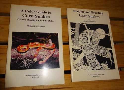 Keeping and breeding corn - keeping,