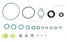 Diesel fuel pump repair kit