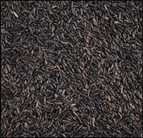 Niger nyger seed 10kg - niger, garden