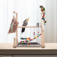 Parrot Playground Bird Play Gym Wood Perch for Parakeet Cockatiel Lovebird