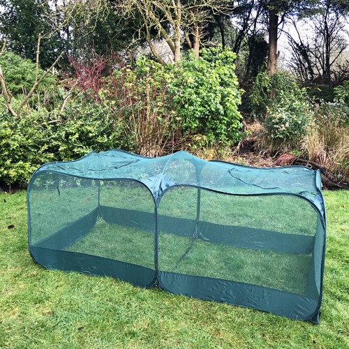 Fruit cage plant - cage, protection