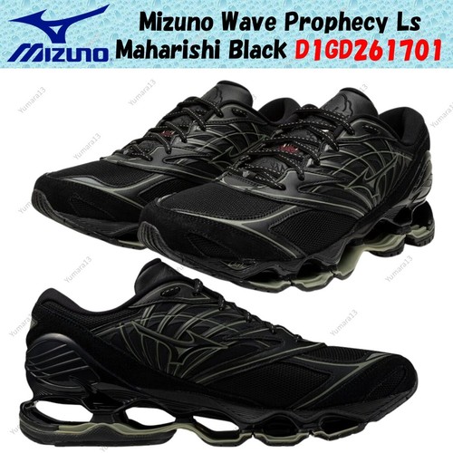 Mizuno wave prophecy - wave,