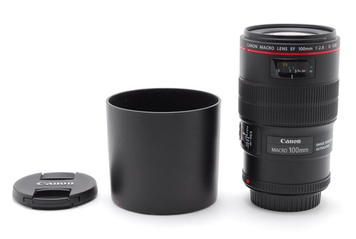 Top mint canon ef - [top,