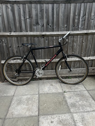 Raleigh max cro vintage - cro/mo/le,