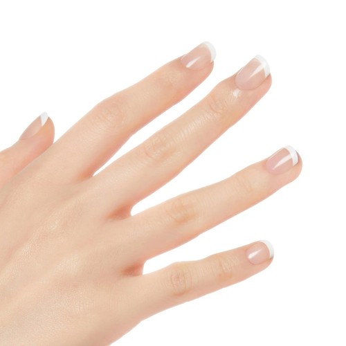 Kiss salon acrylic - fn, kit
